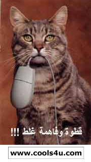 hada 7ma9e wila chafo molahe i9etlo